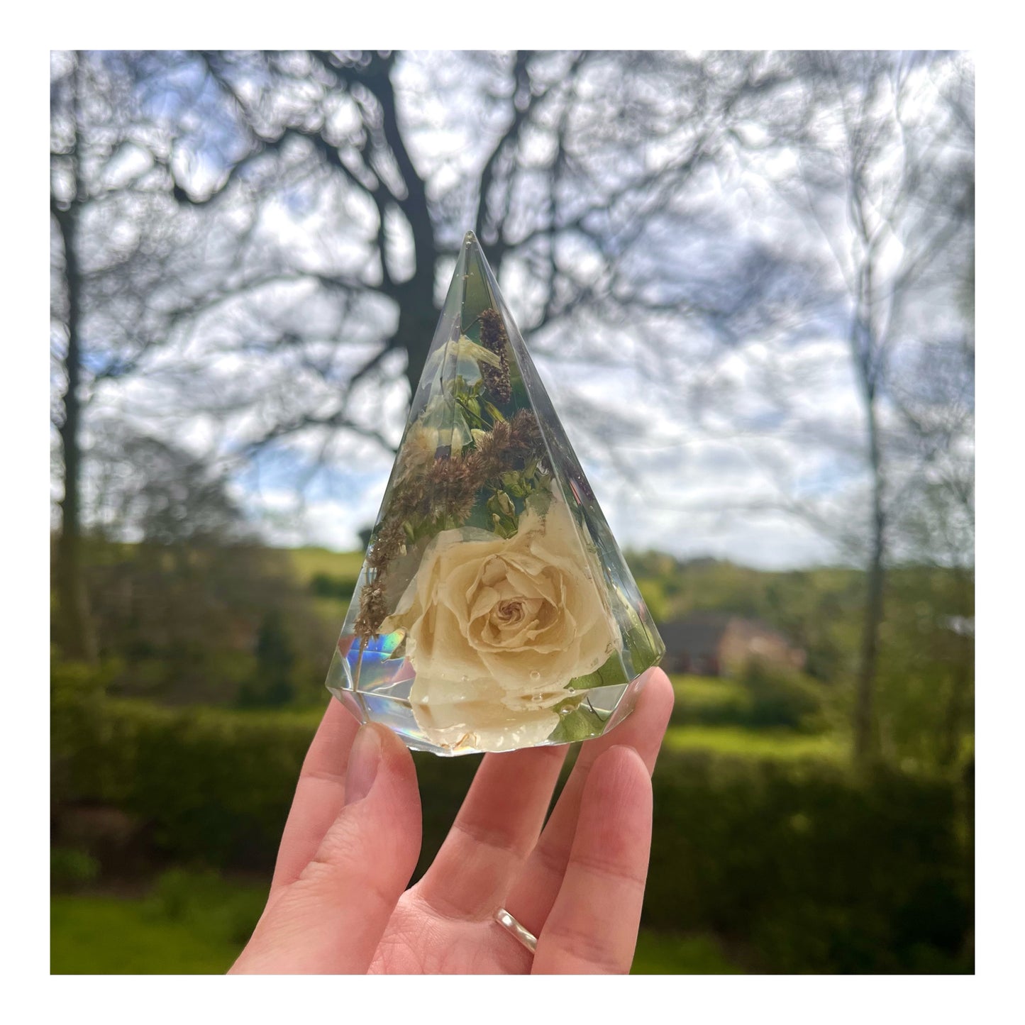 Ring Holder